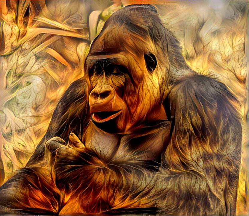 Gorilla