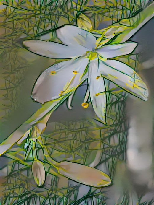 Die Blüte einer Grünlilie - The Flower of a green lily