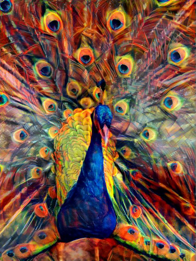 Peacock