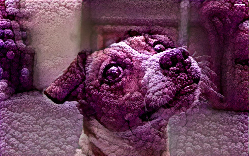 Purple Dog