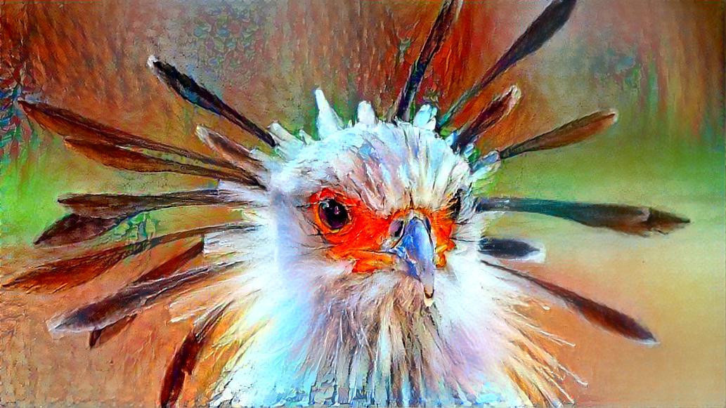 Madame Secretary Bird