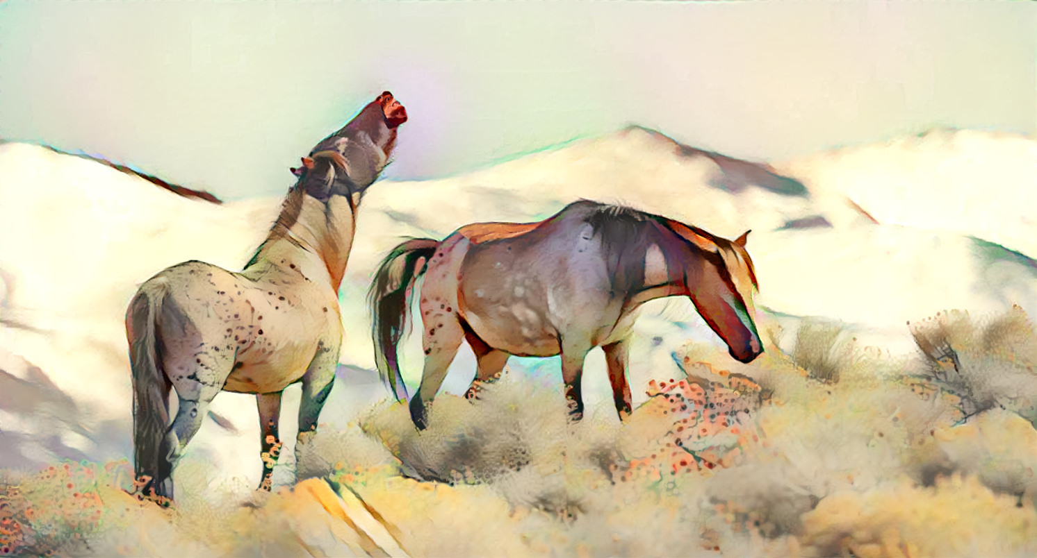 Wild Horses 8