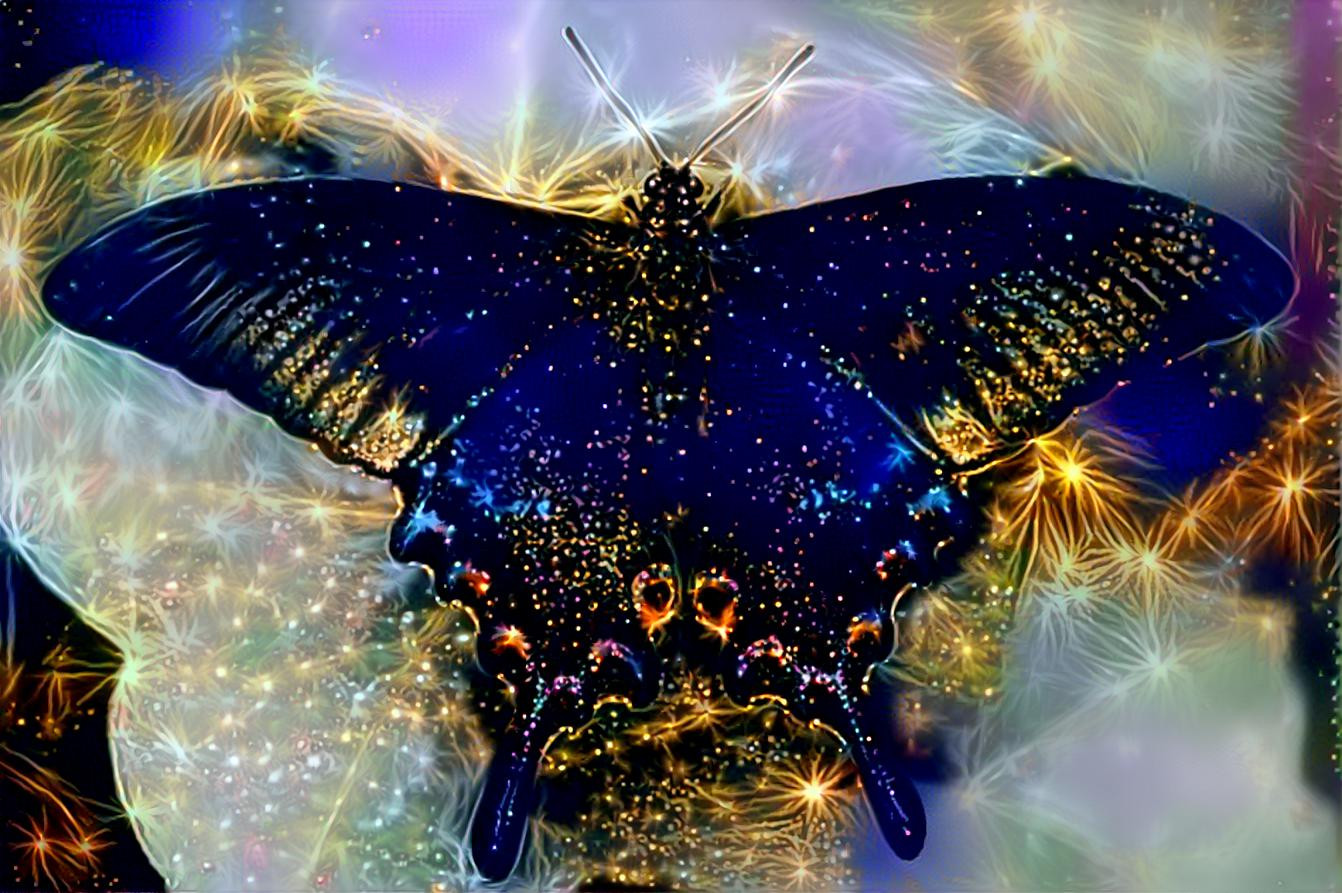 Magic Butterfly 