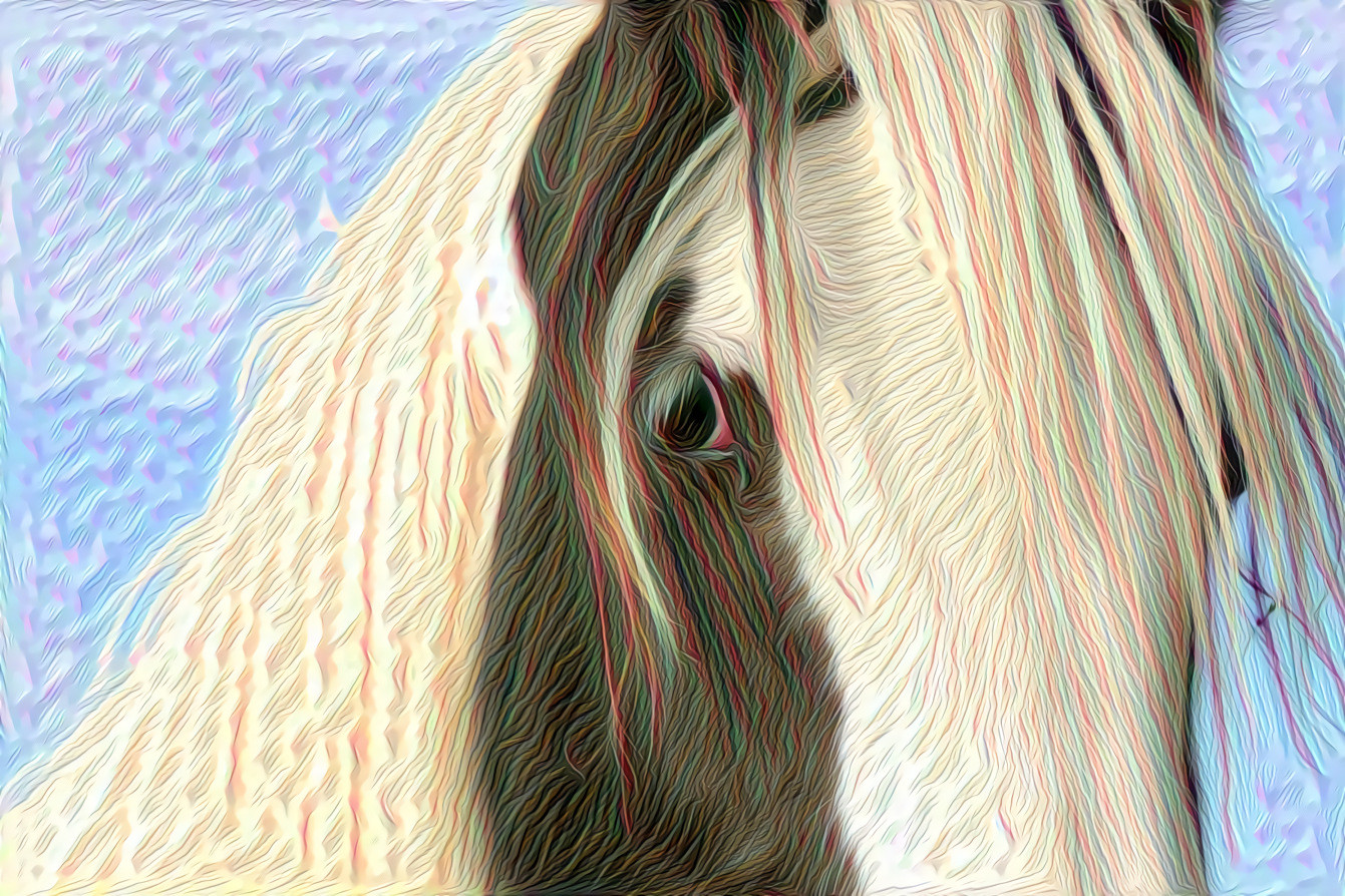 Horse 1