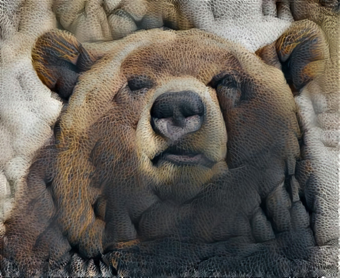 bear