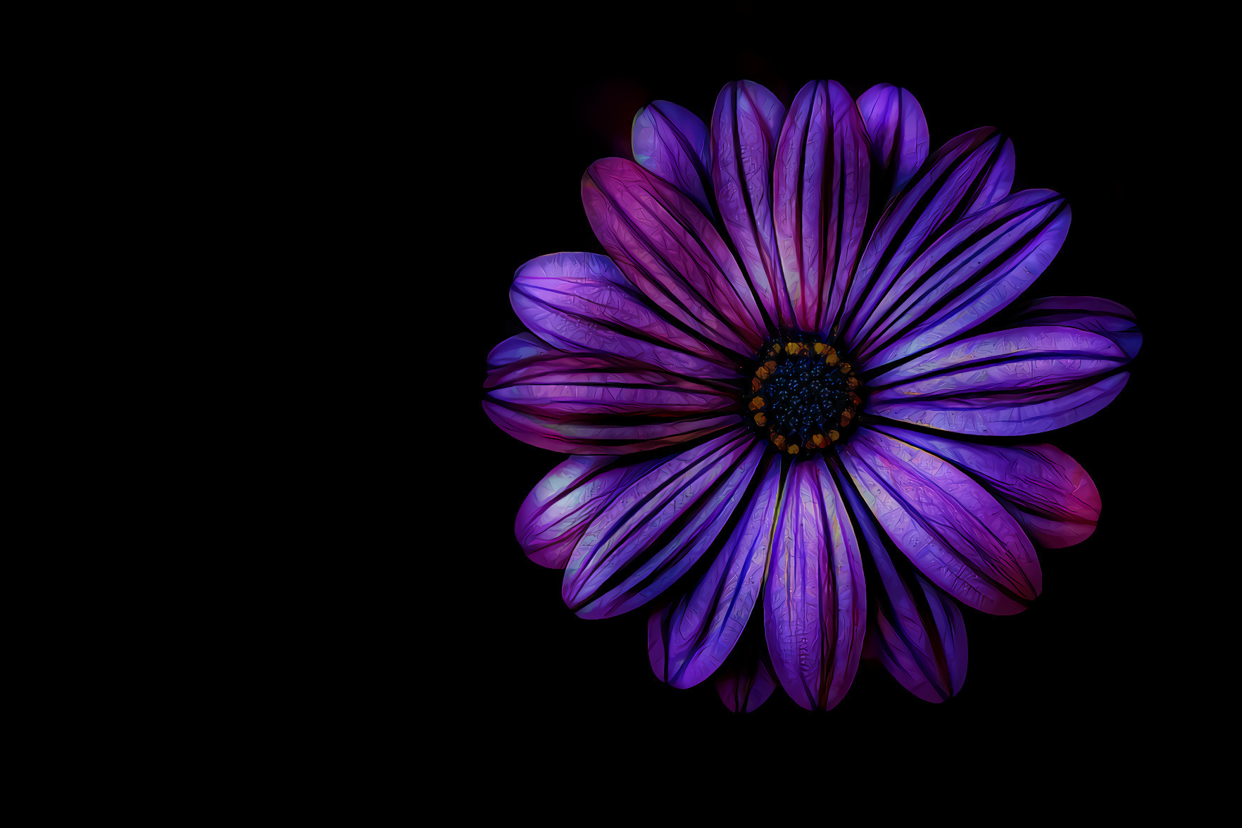 A Very Purple Flower