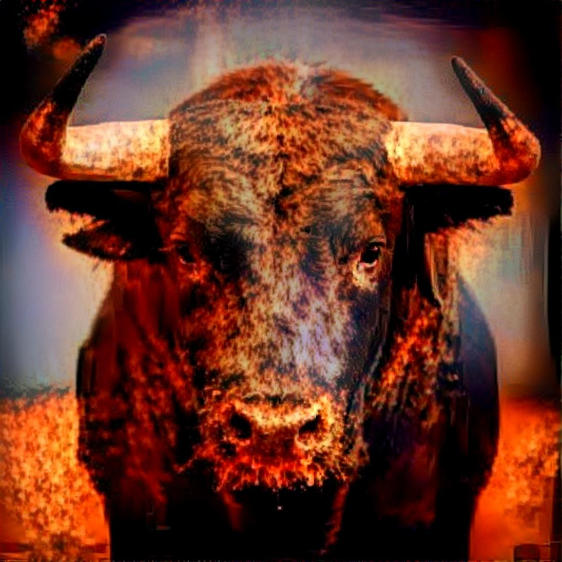 Taurus