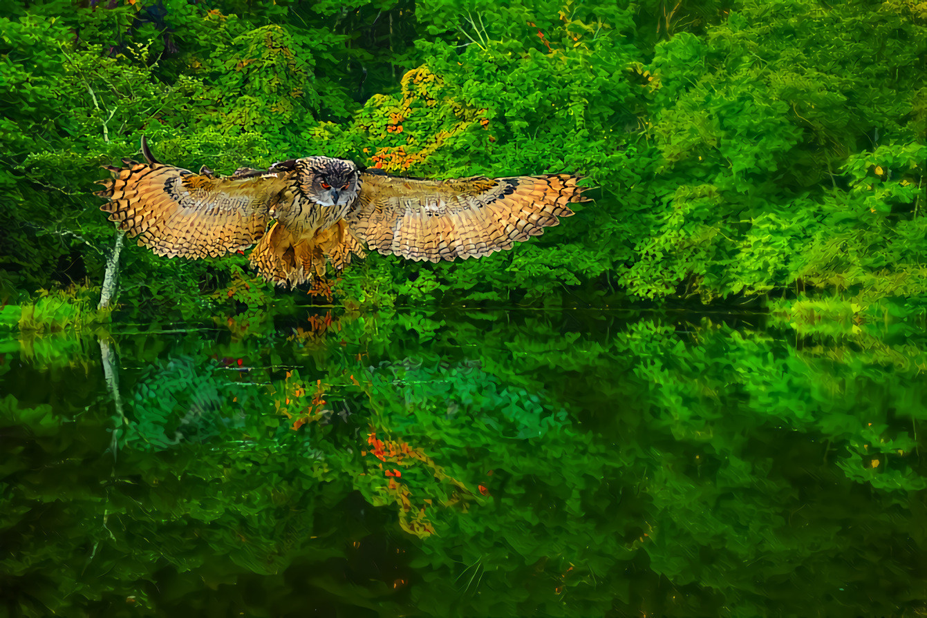 Eagle Owl flying over water in a forest