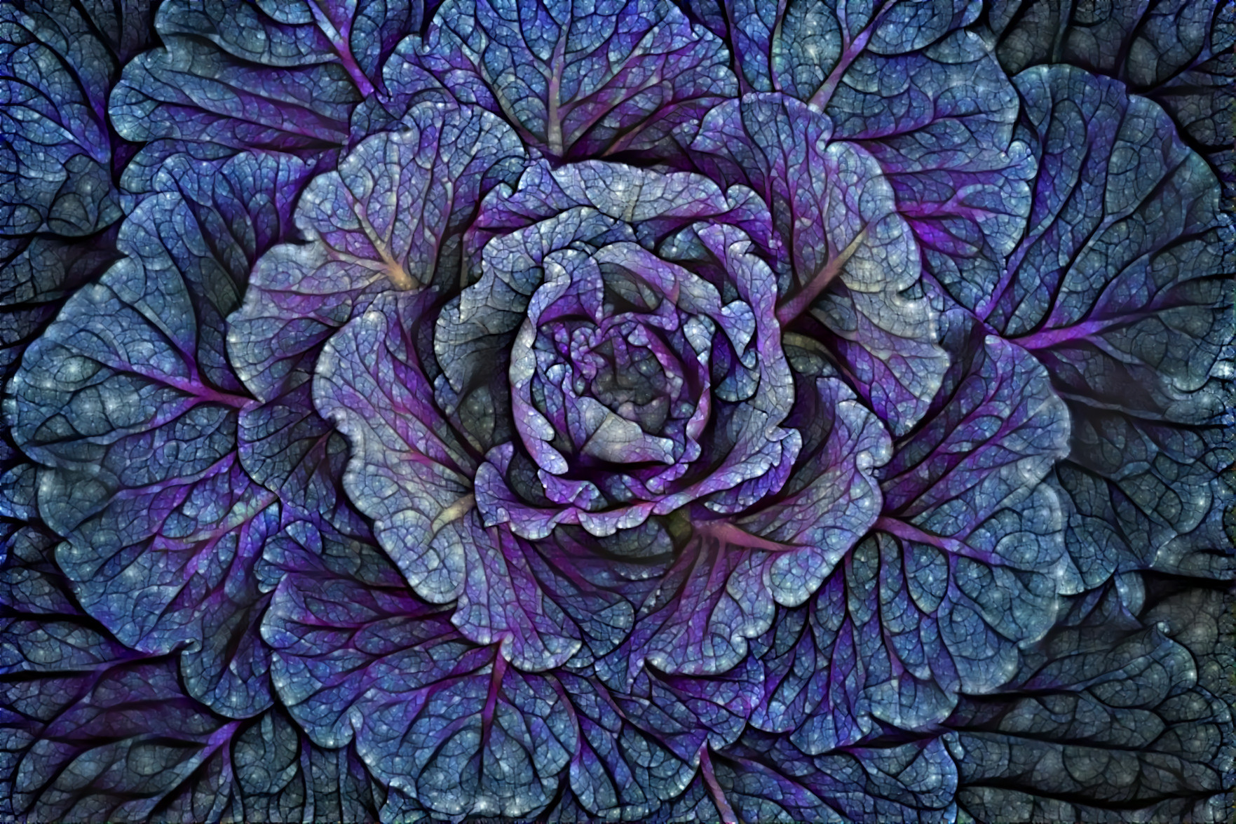 Blue Cabbage