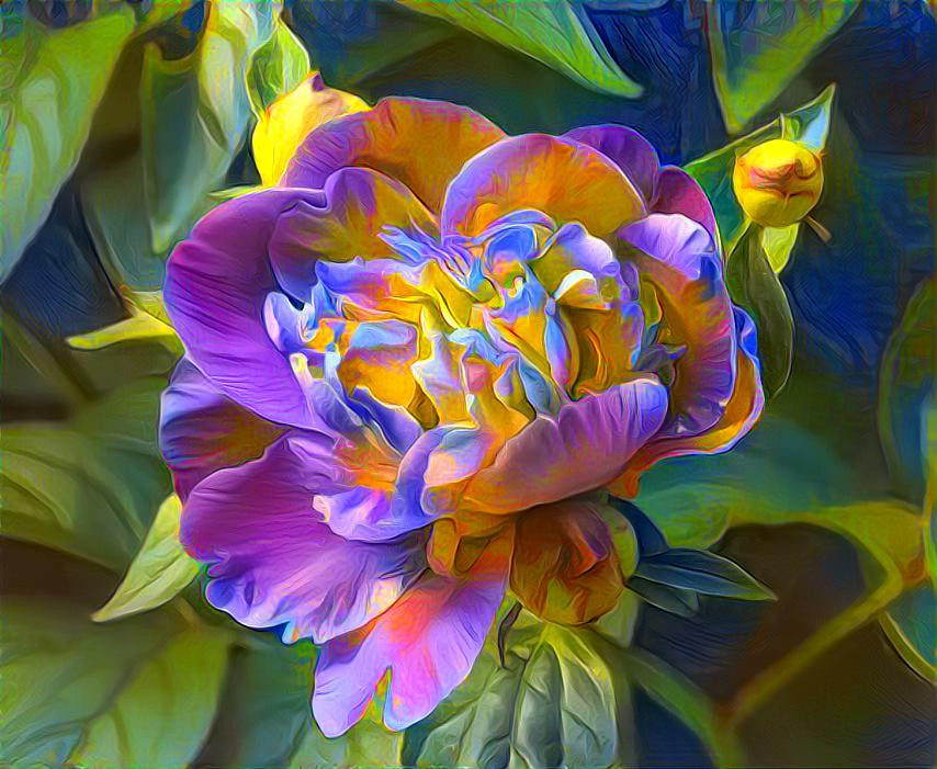 Multicoloured flower