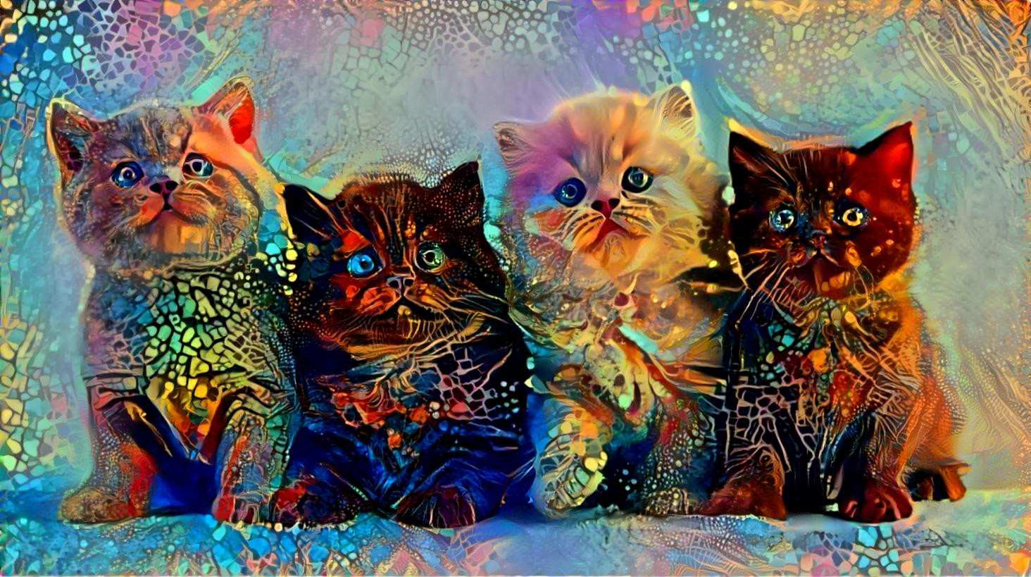 3 Cats