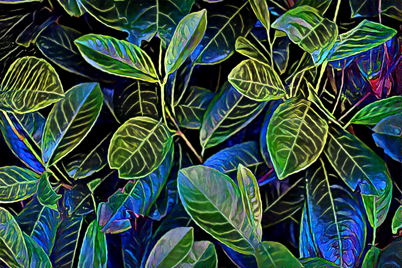 green leaves 