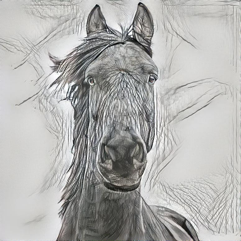 Horse