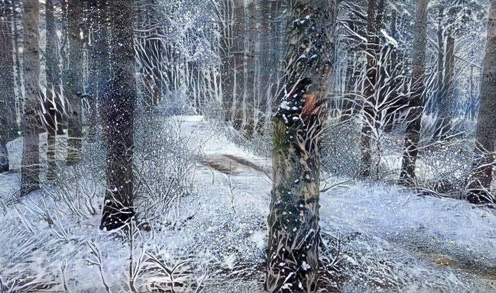 Winter Forest