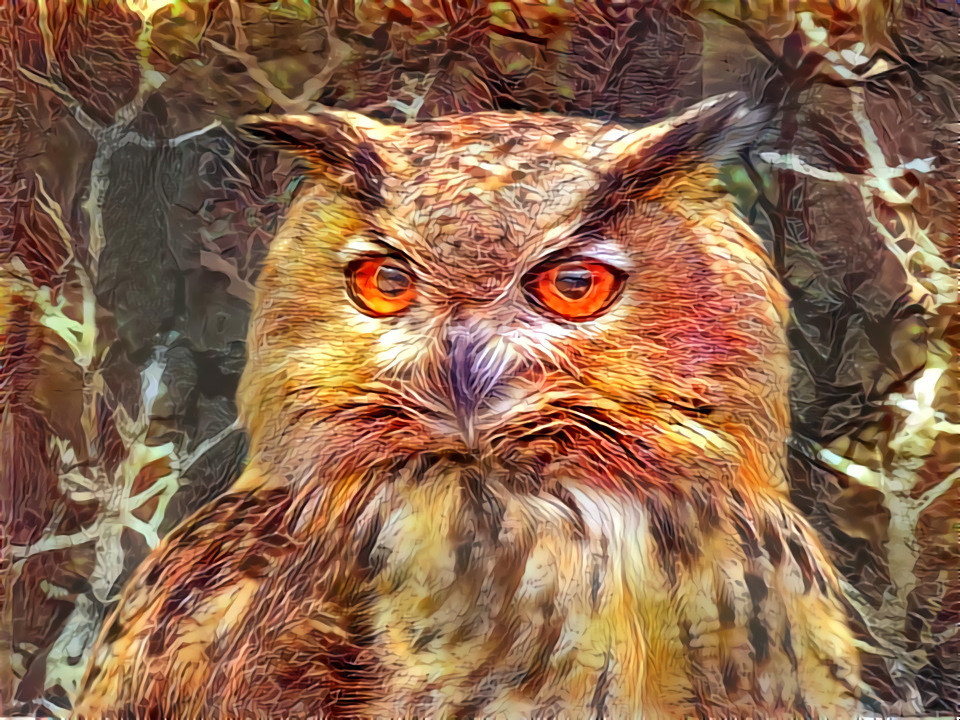 "Forest Owl" _ DDG Challenge (by Ben Beekman) - 05/23/18, on "Deep Dreamers" (group on Fb).