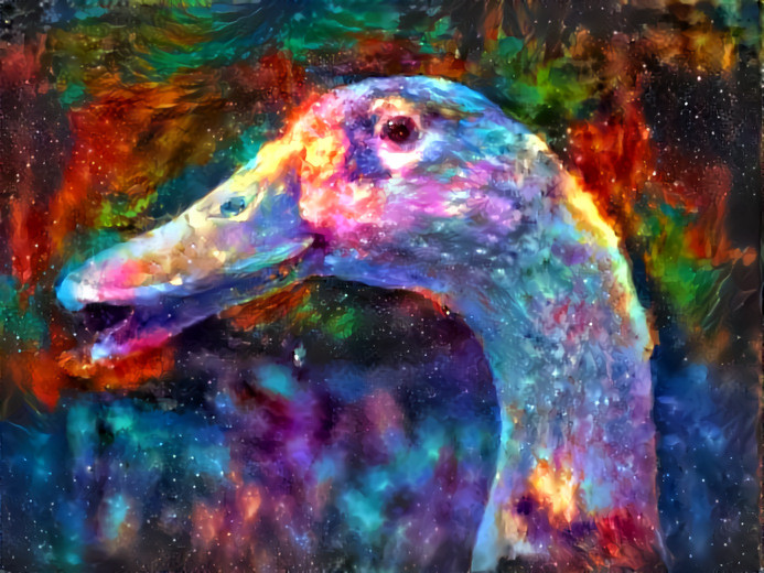 Fantastical Moose the Duck