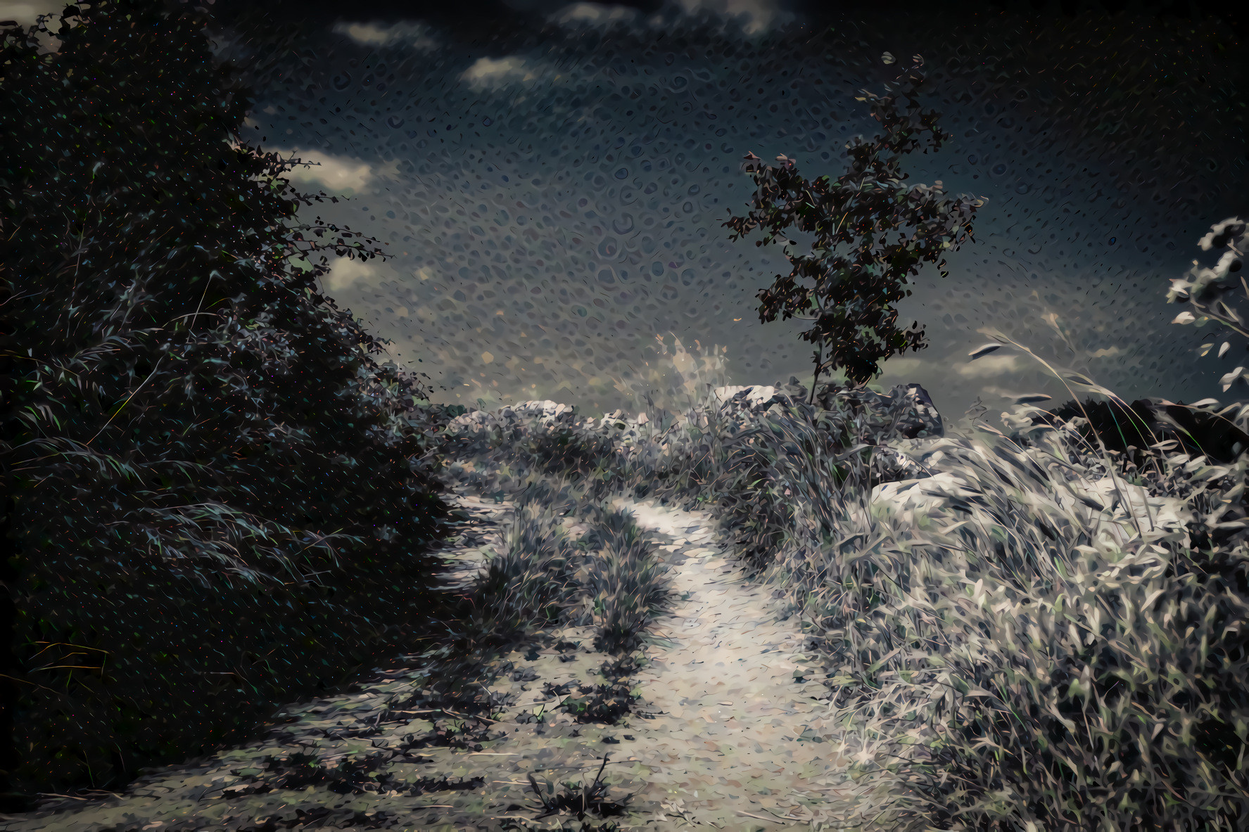 Winter Night, Moonlight Path