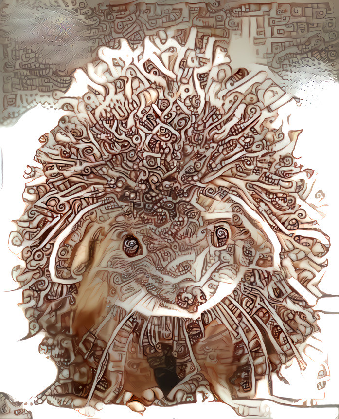 Mayan hedgehog