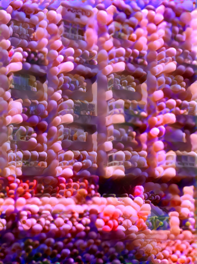 anemone apartments