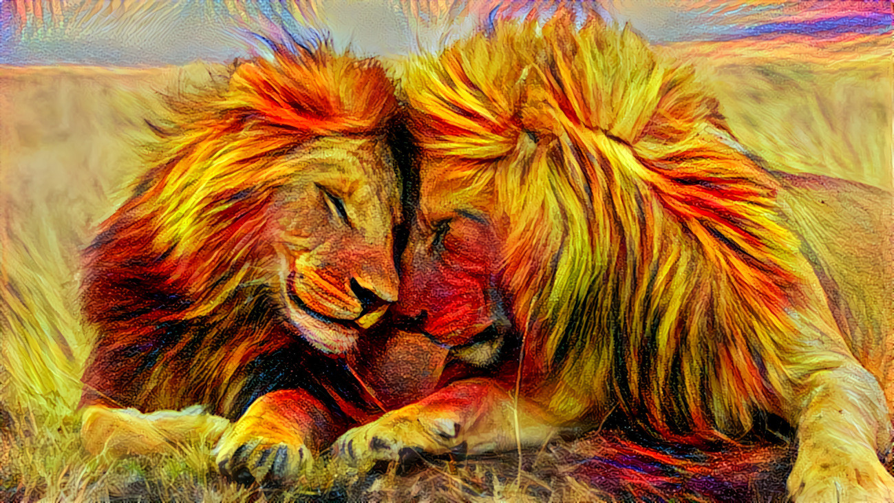 For the Love of Lions