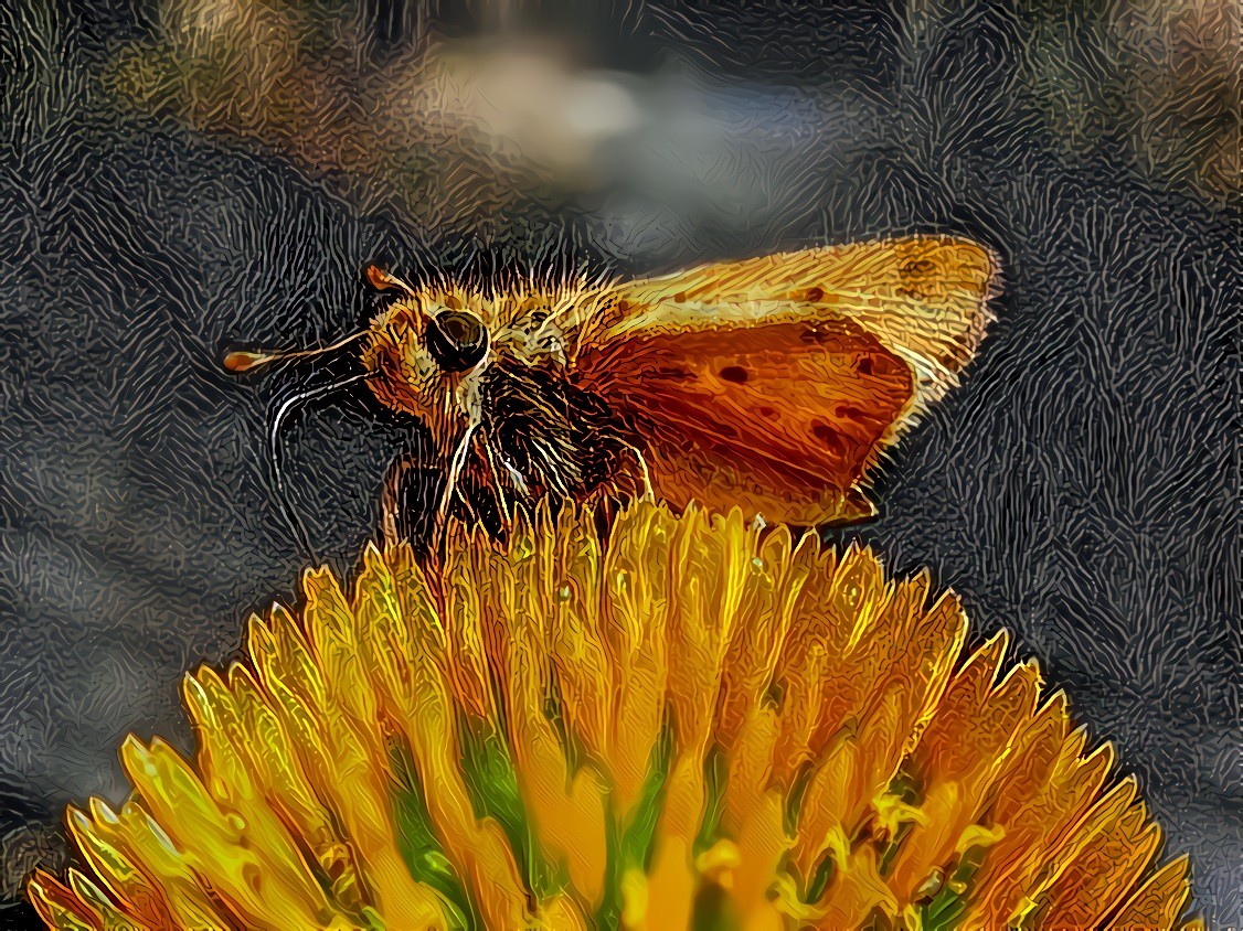 At Wegman’s Nursery, Woodside, California