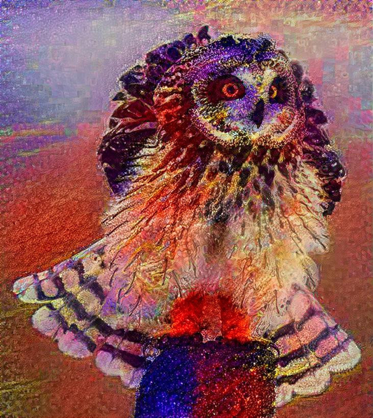 Owl