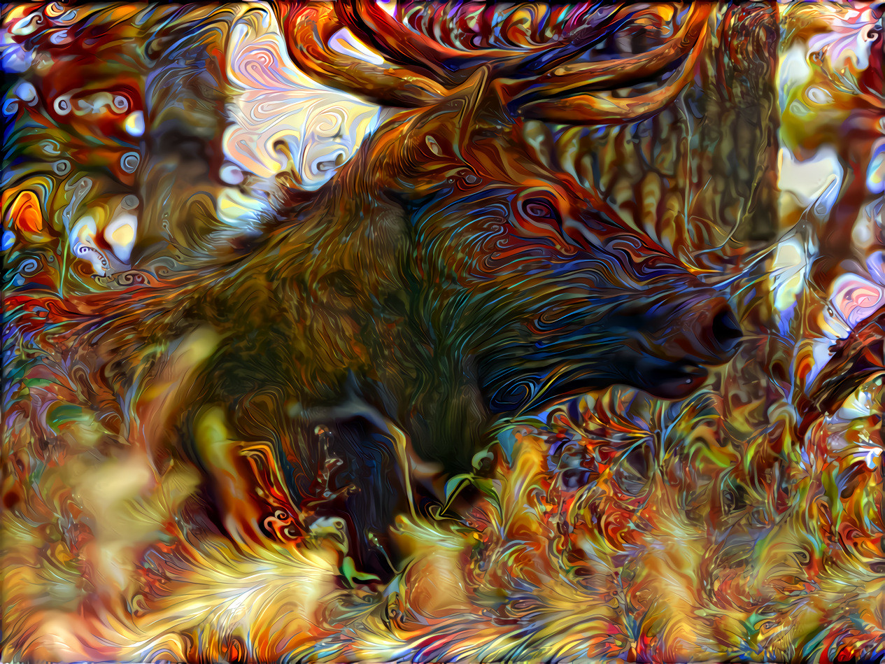 Swirling Elk