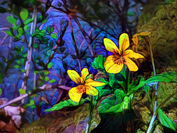 Yellow Wood Violets