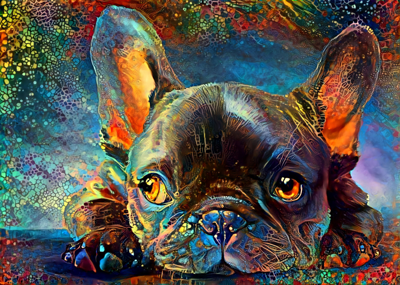 French Bulldog