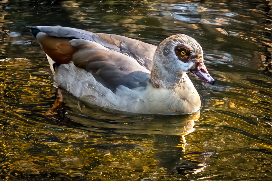 Nilgens Goose