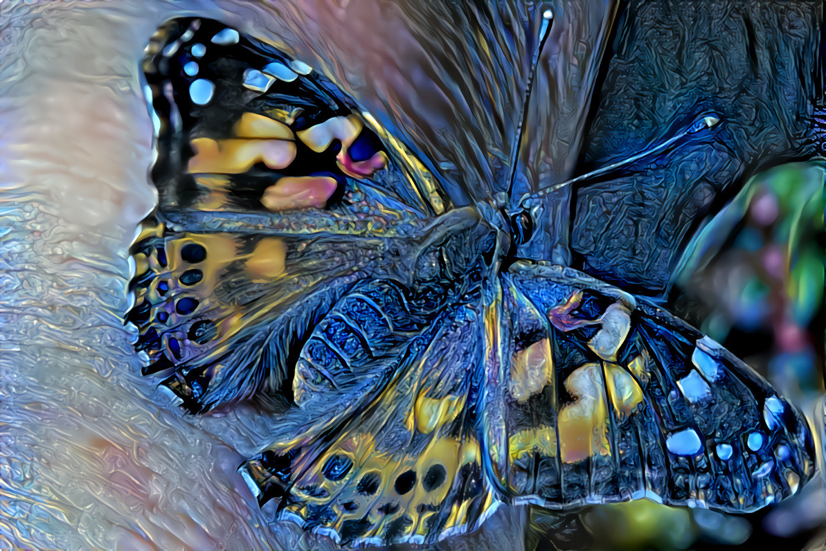 Blue Butterfly