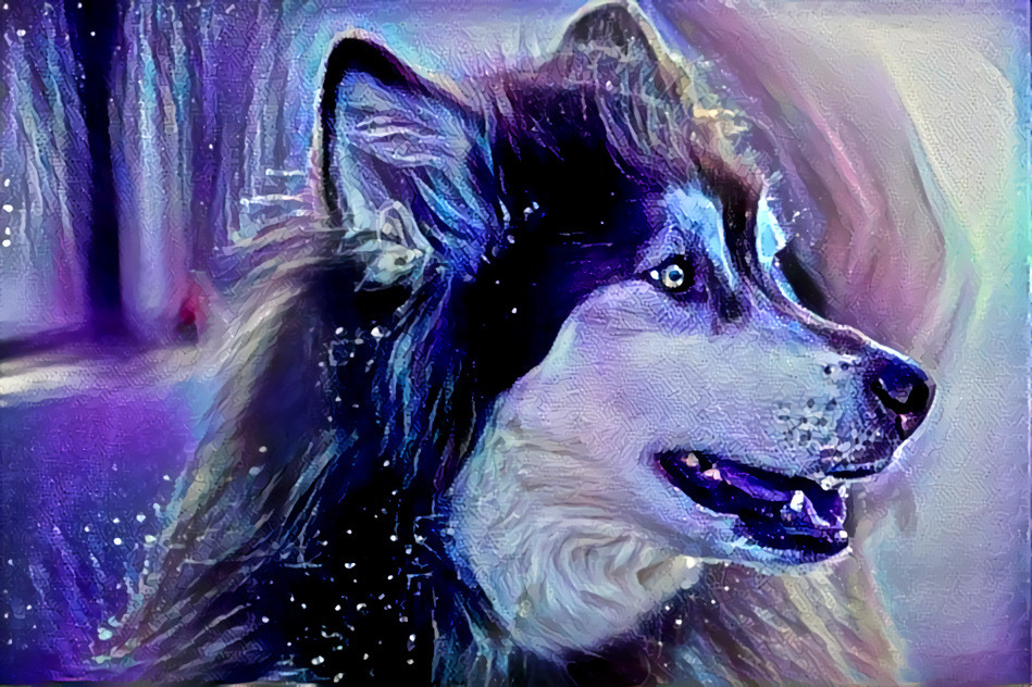 Husky