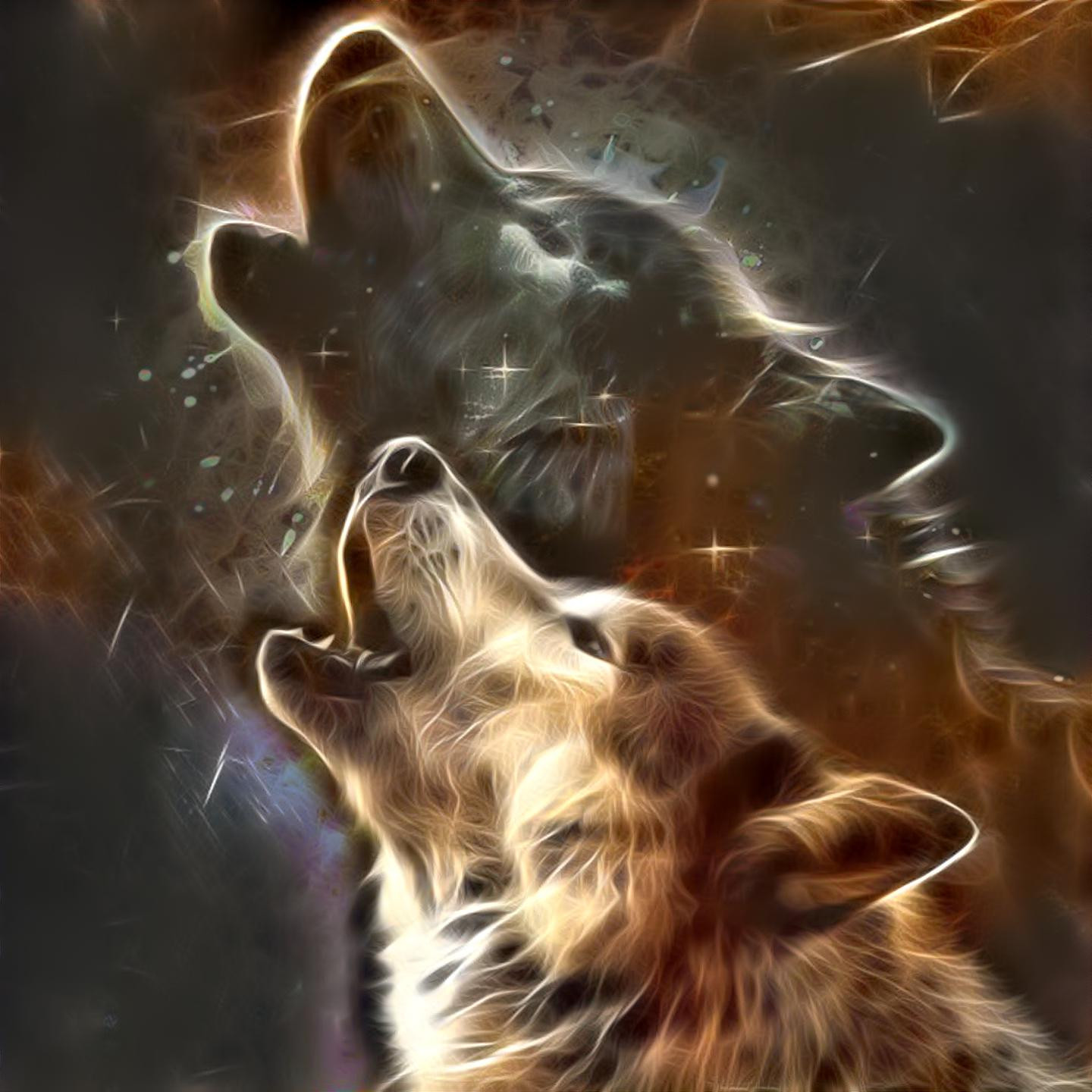 ~ Howls in the Night ~ ©️DM