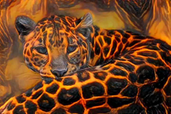 Lava Leopard