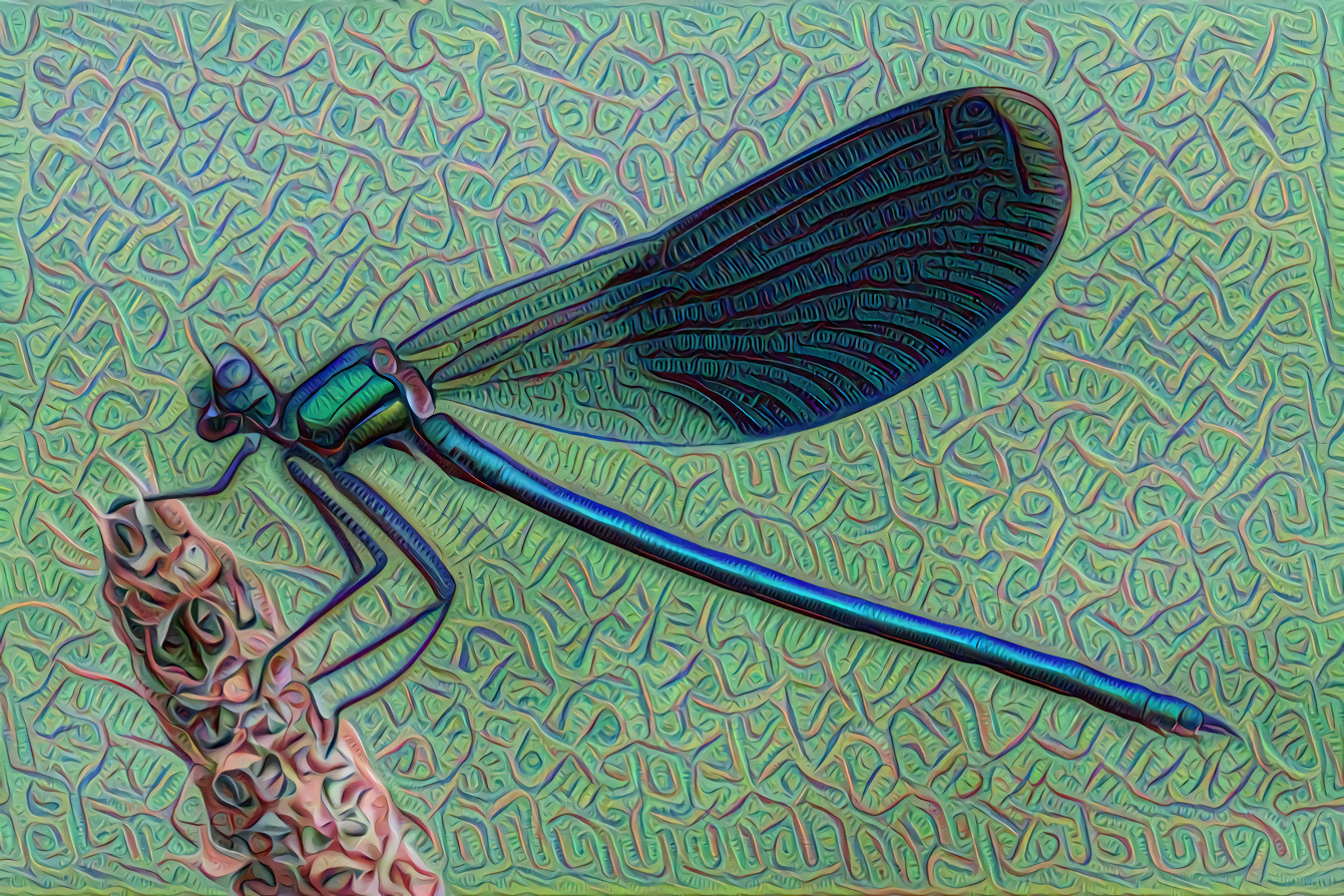 Blue Dragonfly