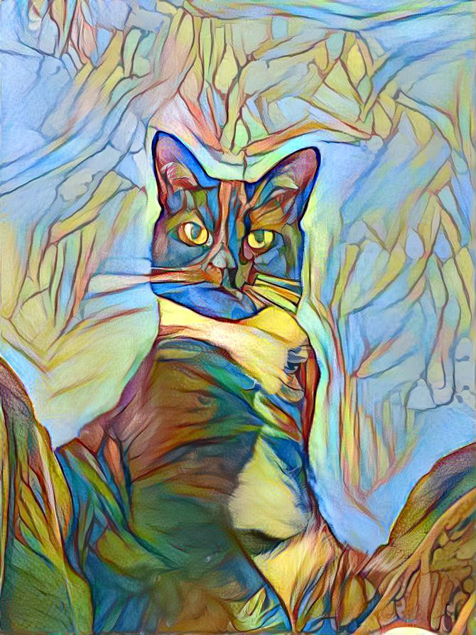 Magic Cat