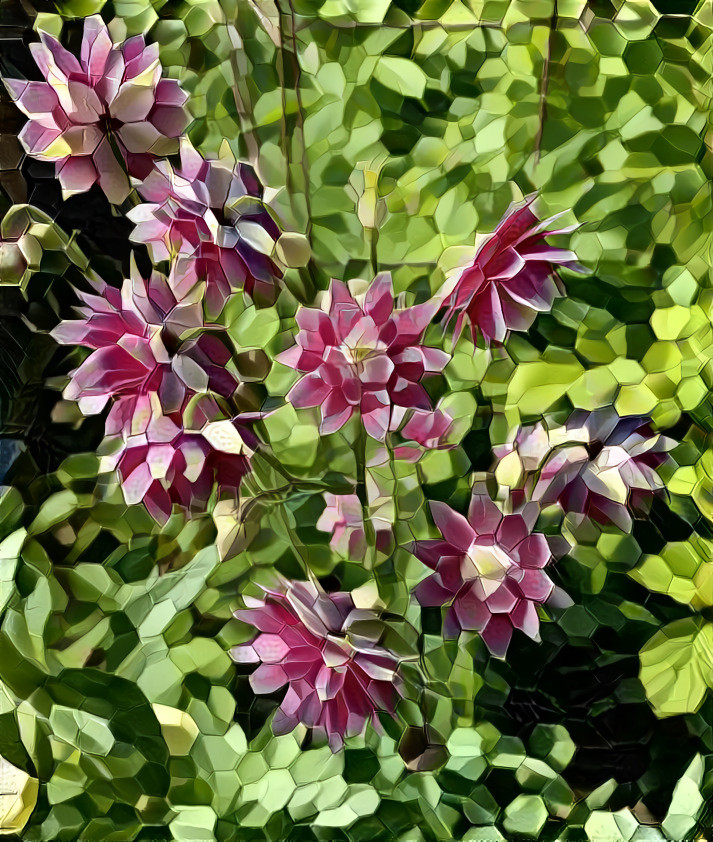 Faceted Columbine