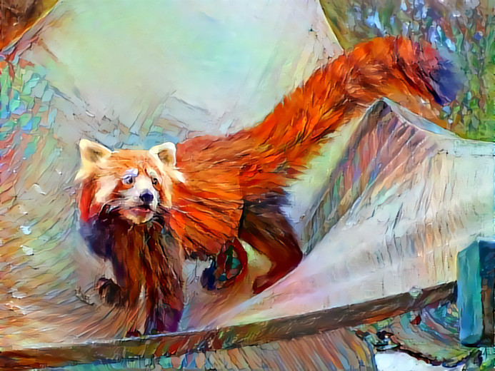 Red Panda