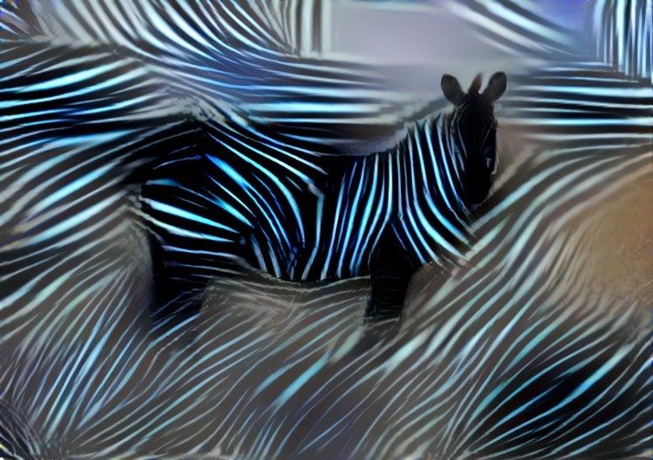 EDM Zebra?