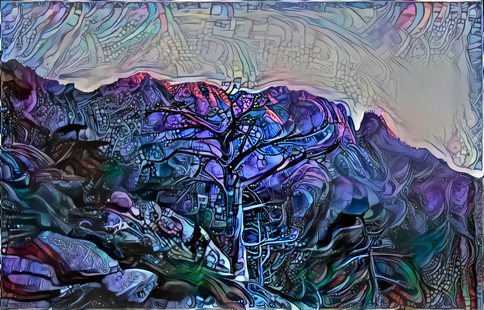 The old Tree