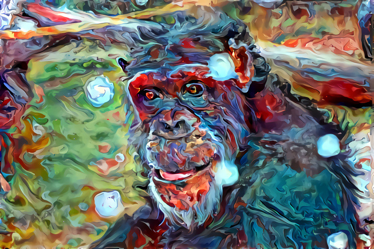 Chimpanzee at Oregon Zoo, Portland, OR, USA (2019)