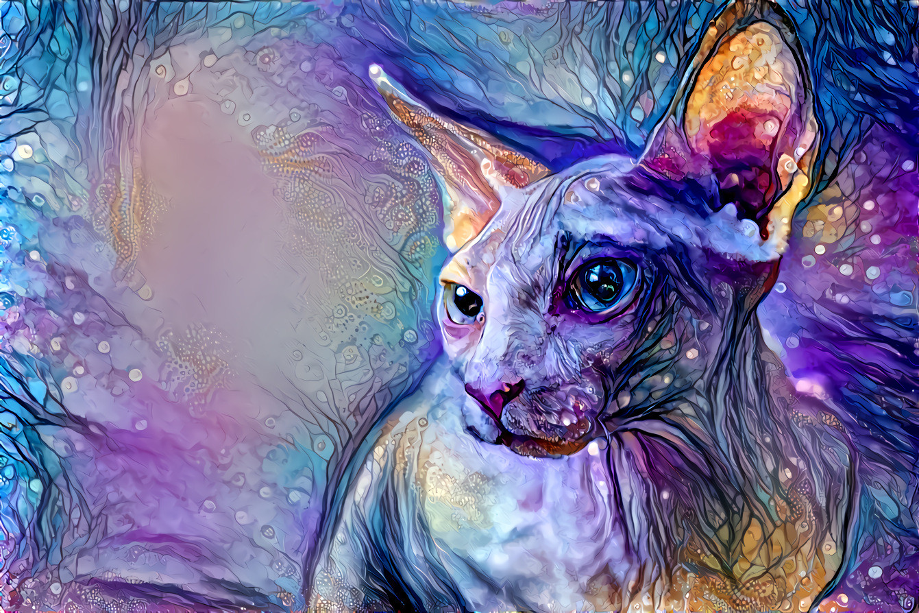 Magic Cat