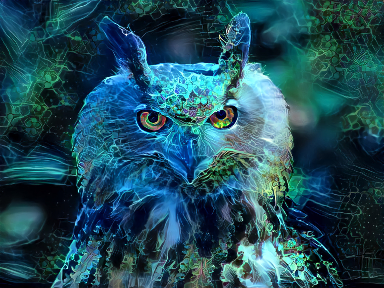 Blue Owl