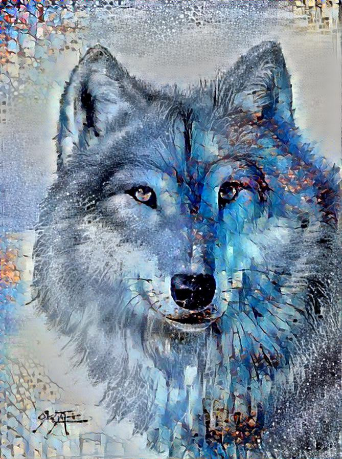  Blue wolf