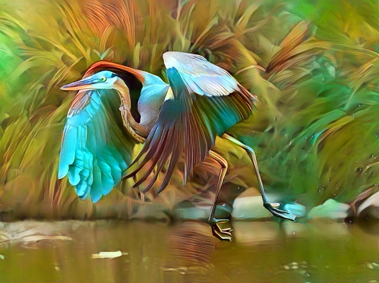 Heron