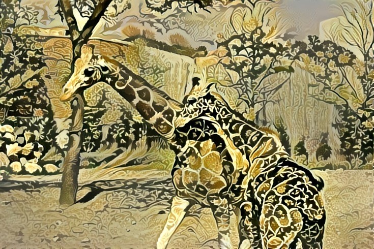 Black Gold Giraffes