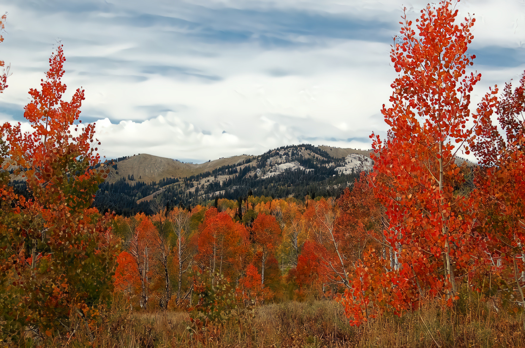 Colorado Mountains