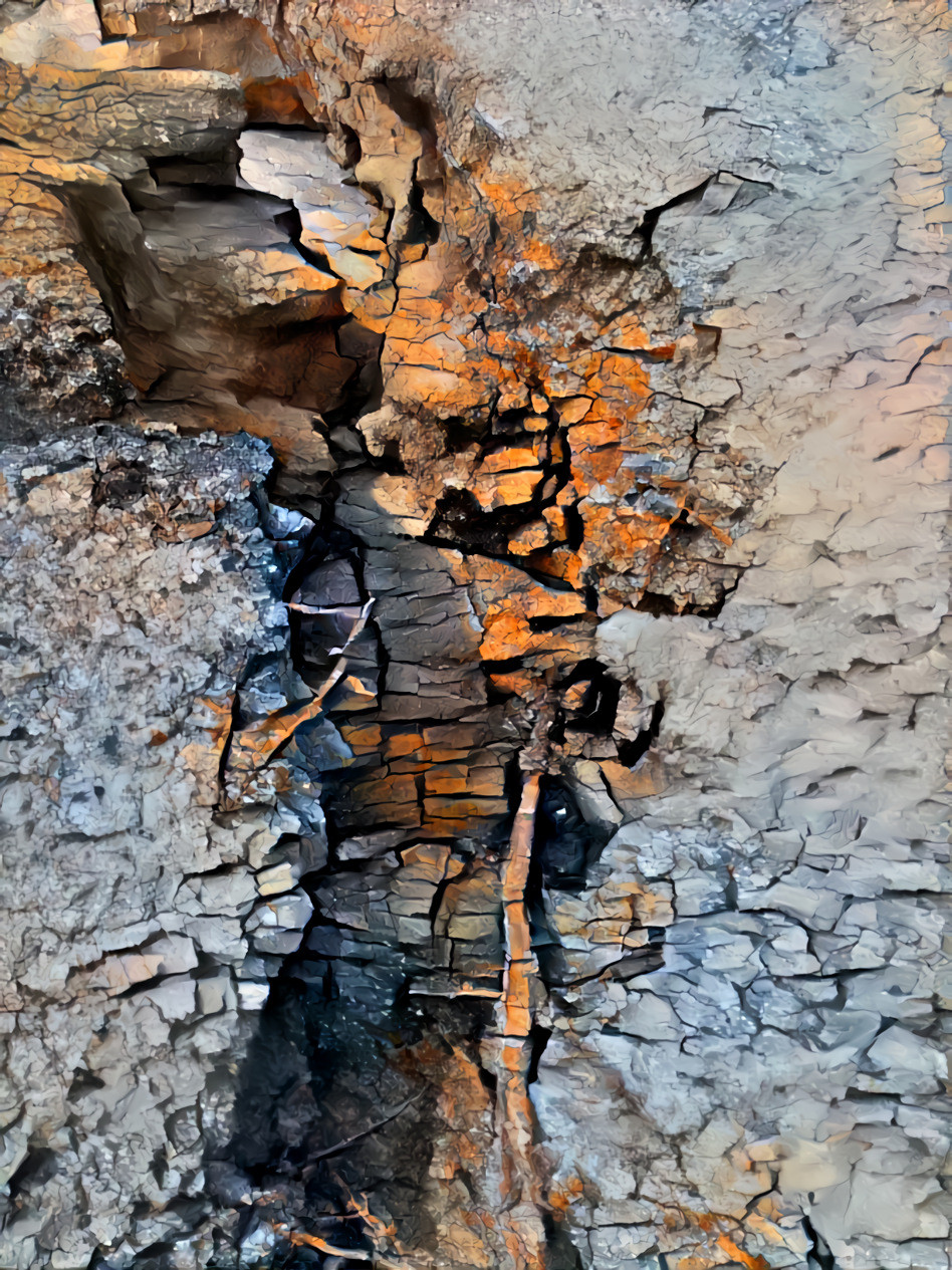 25 Aug 2021 - A sand dune's erosion - close-up