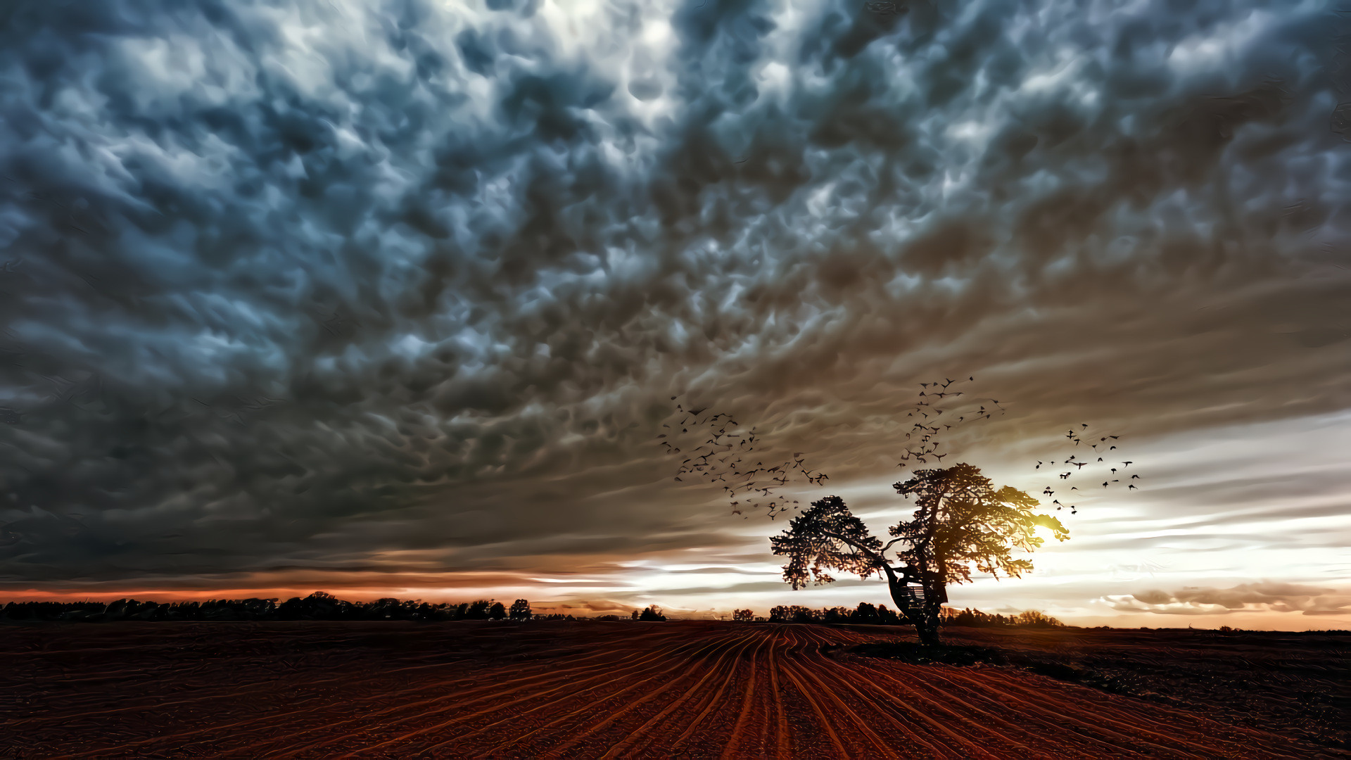 Dark Clouds, Sunset, Fields