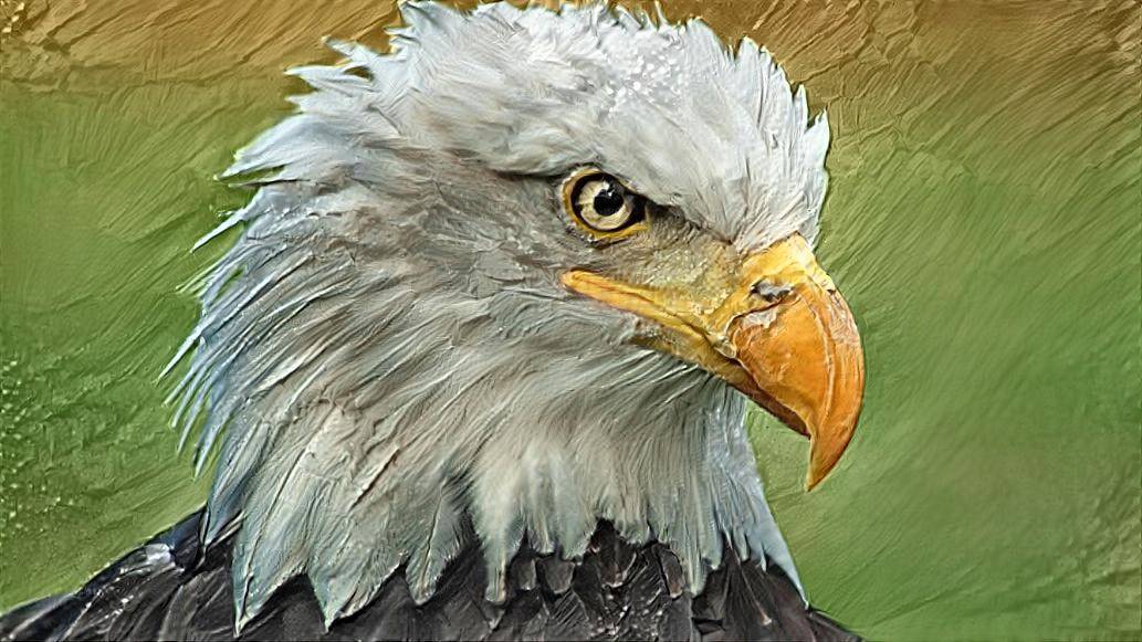 Deep Dream: Bald Eagle (Ver.3)